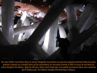 En avril 2000, les frères Eloy et Javier Delgado trouvèrent ce que les experts estiment être les plus
grands cristaux au monde alors qu'ils creusaient un nouveau tunnel à 300 m sous le sol dans la
mine d'argent de Naïca. Âgé de 40 ans, Eloy s'est hissé par une petite ouverture dans une caverne
de 8 mètres par 15 mètres remplie d'immenses cristaux.
 