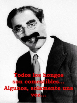 Todos los hongos son comestibles… Algunos, solamente una vez.. .