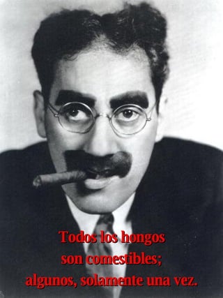 Todos los hongos son comestibles; algunos, solamente una vez. 