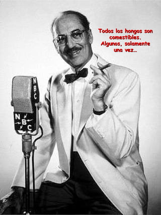 Todos los hongos son comestibles. Algunos, solamente una vez… 