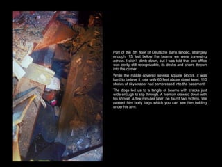 Part of the 8th floor of Deutsche Bank landed, strangely enough, 15 feet below the beams we were traversing across. I didn’t climb down, but I was told that one office was eerily still recognizable, its desks and chairs thrown into the corner.  While the rubble covered several square blocks, it was hard to believe it rose only 60 feet above street level. 110 stories of skyscraper had compressed into the basement! The dogs led us to a tangle of beams with cracks just wide enough to slip through. A fireman crawled down with his shovel. A few minutes later, he found two victims. We passed him body bags which you can see him holding under his arm.  