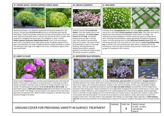 Ground cover for providing variety in surface treatment