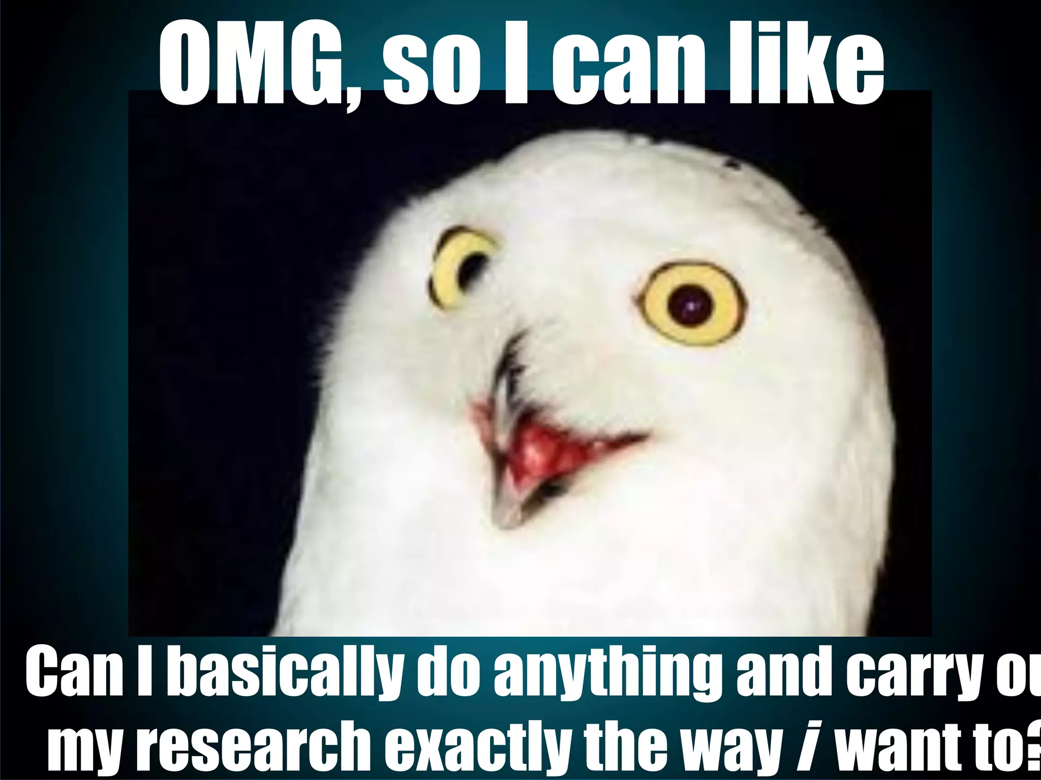 OMG, so I can like
Can I basically do anything and carry ou
my research exactly the way i want to?
 