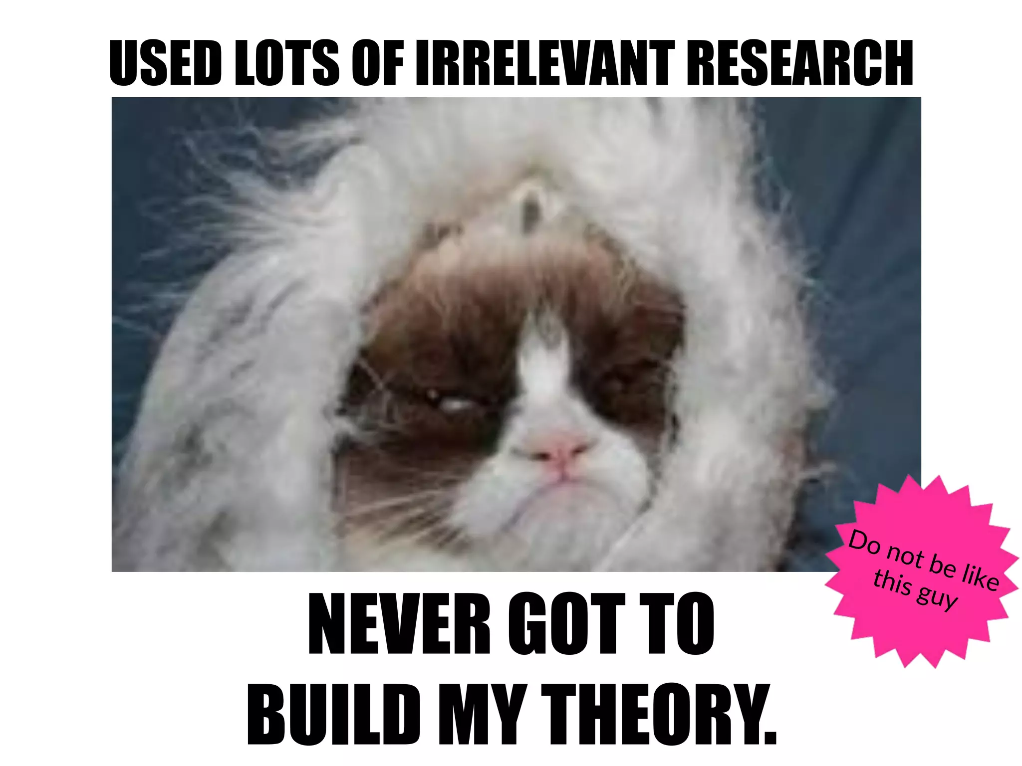 USED LOTS OF IRRELEVANT RESEARCH
NEVER GOT TO
BUILD MY THEORY.
Do(not(be(like(this(guy(
 