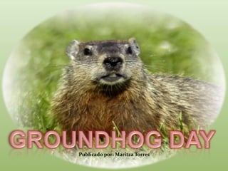 Novel like groundhog day meme