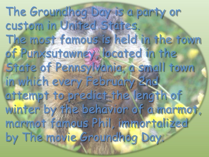 groundhog day german title groundhog day groundhog day german title groundhog day