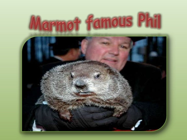 groundhog day in german groundhog day groundhog day in german groundhog day