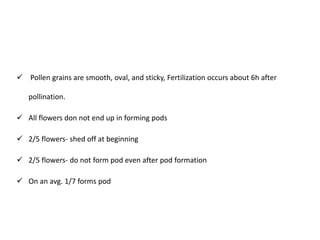  Pollen grains are smooth, oval, and sticky, Fertilization occurs about 6h after
pollination.
 All flowers don not end up in forming pods
 2/5 flowers- shed off at beginning
 2/5 flowers- do not form pod even after pod formation
 On an avg. 1/7 forms pod
 