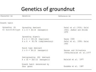 Genetics of groundnut
 