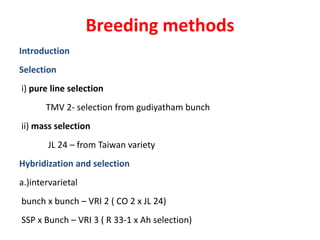 Breeding methods
Introduction
Selection
i) pure line selection
TMV 2- selection from gudiyatham bunch
ii) mass selection
JL 24 – from Taiwan variety
Hybridization and selection
a.)intervarietal
bunch x bunch – VRI 2 ( CO 2 x JL 24)
SSP x Bunch – VRI 3 ( R 33-1 x Ah selection)
 