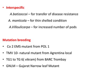 • Interspecific
A.batizoccoi – for transfer of disease resistance
A. monticola – for thin shelled condition
A.Villoulicarpa – for increased number of pods
Mutation breeding
• Co 2 EMS mutant from POL 1
• TMV 10- natural mutant from Agrentina local
• TG1 to TG 6( vikram) from BARC Trombay
• GNLM – Gujarat Narrow leaf Mutant
 