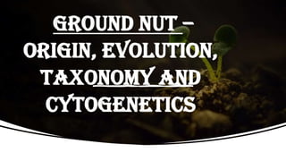 Ground Nut –
ORIGIN, EVOLUTION,
TAXONOMY and
CYTOGENETICS
 