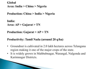 Global
Агеа: India > China > Nigeria
Production: China > India > Nigeria
India:
Area: AP > Gujarat > TN
Production: Gujarat > AP > TN
Productivity: Tamil Nadu (around 20 q/ha)
• Groundnut is cultivated in 2.0 lakh hectares across Telangana
region making it one of the major crops of the state.
• It is widely grown in Mahbubnagar, Warangal, Nalgonda and
Karimnagar Districts.
 