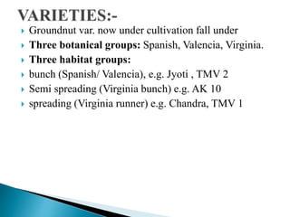  Groundnut var. now under cultivation fall under
 Three botanical groups: Spanish, Valencia, Virginia.
 Three habitat groups:
 bunch (Spanish/ Valencia), e.g. Jyoti , TMV 2
 Semi spreading (Virginia bunch) e.g. AK 10
 spreading (Virginia runner) e.g. Chandra, TMV 1
 