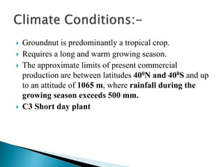  Groundnut is predominantly a tropical crop.
 Requires a long and warm growing season.
 The approximate limits of present commercial
production are between latitudes 400N and 400S and up
to an attitude of 1065 m, where rainfall during the
growing season exceeds 500 mm.
 C3 Short day plant
 