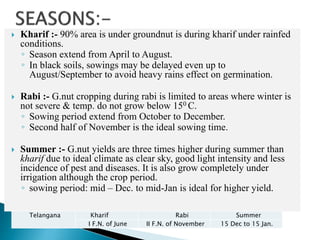  Kharif :- 90% area is under groundnut is during kharif under rainfed
conditions.
◦ Season extend from April to August.
◦ In black soils, sowings may be delayed even up to
August/September to avoid heavy rains effect on germination.
 Rabi :- G.nut cropping during rabi is limited to areas where winter is
not severe & temp. do not grow below 150 C.
◦ Sowing period extend from October to December.
◦ Second half of November is the ideal sowing time.
 Summer :- G.nut yields are three times higher during summer than
kharif due to ideal climate as clear sky, good light intensity and less
incidence of pest and diseases. It is also grow completely under
irrigation although the crop period.
◦ sowing period: mid – Dec. to mid-Jan is ideal for higher yield.
Telangana Kharif Rabi Summer
I F.N. of June II F.N. of November 15 Dec to 15 Jan.
 