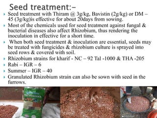  Seed treatment with Thiram @ 3g/kg, Bavistin (2g/kg) or DM –
45 (3g/kg)is effective for about 20days from sowing.
 Most of the chemicals used for seed treatment against fungal &
bacterial diseases also affect Rhizobium, thus rendering the
inoculation in effective for a short time.
 When both seed treatment & inoculation are essential, seeds may
be treated with fungicides & rhizobium culture is sprayed into
seed rows & covered with soil.
 Rhizobium strains for kharif - NC – 92 Tal -1000 & THA -205
 Rabi – IGR – 6
 Summer – IGR – 40
 Granulated Rhizobium strain can also be sown with seed in the
furrows.
 