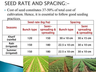  Cost of seed constitutes 37-50% of total cost of
cultivation. Hence, it is essential to follow good seeding
practices.
Seasons
Seed rate (kg/ha) Spacing
Bunch type
Semi-
spreading &
spreading
Bunch type
Semi
spreading
& spreading
Kharif
(rainfed
120 150 30 x 10 cm 30 x 15 cm
Rabi
(irrigated)
150 180 22.5 x 10 cm 30 x 10 cm
Summer
(irrigated)
150 180 22.5 x 10 cm 30 x 10 cm
 