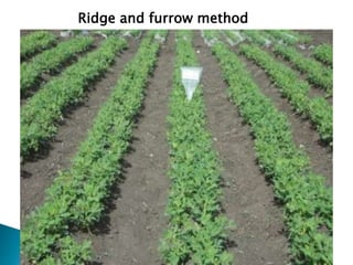 Ridge and furrow method
 