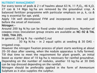 NUTRIENT MANAGEMENT
For every tonne of pods & 2 t of haulms about 63 N, 11 P2O5, 46 K2O,
27 cao & 14 Mgo kg/ha are removed by the groundnut crop. A
balanced fertilizer programme with particular emphasis on p, k, ca &
mg is essential for opt. yield.
Apply 10t well decomposed FYM and incorporate it into soil just
before the onset of monsoon.
Nitrogen:-
Around 200 kg N/ha can be fixed under ideal conditions. Number of
cowpea cross inoculation group strains are available as NC-92 & TAL
1000, THA 205.
In general, 20 kg N /ha –rainfed G.nut
30 Kg N/ha – in 2 equal splits at seeding & 30 DAS –
irrigated crop.
However the nitrogen fixation process of plant starts working at about
20-30 days after sowing, when the nodule apparatus is fully formed.
Till that time to meet the requirement for plant growth, an initial
boost as starter dose of 10 kg/ha is necessary for rainfed groundnut.
Depending on the number of nodules, another 10 kg/ha at 30 DAS
can be top dressed depending on the rainfall.
Nitrogen should be preferably applied in the form of Ammonium
Sulphate as it also supplies the sulphur.
 
