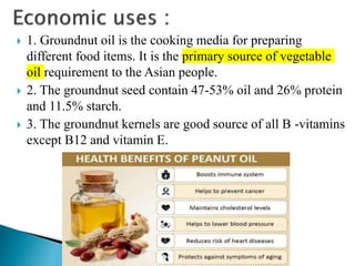  1. Groundnut oil is the cooking media for preparing
different food items. It is the primary source of vegetable
oil requirement to the Asian people.
 2. The groundnut seed contain 47-53% oil and 26% protein
and 11.5% starch.
 3. The groundnut kernels are good source of all B -vitamins
except B12 and vitamin E.
 
