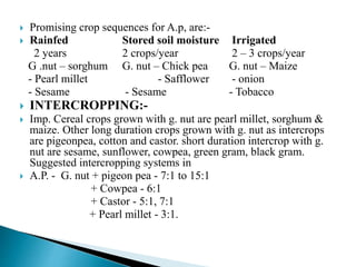  Promising crop sequences for A.p, are:-
 Rainfed Stored soil moisture Irrigated
2 years 2 crops/year 2 – 3 crops/year
G .nut – sorghum G. nut – Chick pea G. nut – Maize
- Pearl millet - Safflower - onion
- Sesame - Sesame - Tobacco
 INTERCROPPING:-
 Imp. Cereal crops grown with g. nut are pearl millet, sorghum &
maize. Other long duration crops grown with g. nut as intercrops
are pigeonpea, cotton and castor. short duration intercrop with g.
nut are sesame, sunflower, cowpea, green gram, black gram.
Suggested intercropping systems in
 A.P. - G. nut + pigeon pea - 7:1 to 15:1
+ Cowpea - 6:1
+ Castor - 5:1, 7:1
+ Pearl millet - 3:1.
 