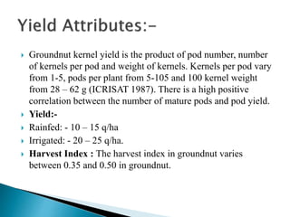  Groundnut kernel yield is the product of pod number, number
of kernels per pod and weight of kernels. Kernels per pod vary
from 1-5, pods per plant from 5-105 and 100 kernel weight
from 28 – 62 g (ICRISAT 1987). There is a high positive
correlation between the number of mature pods and pod yield.
 Yield:-
 Rainfed: - 10 – 15 q/ha
 Irrigated: - 20 – 25 q/ha.
 Harvest Index : The harvest index in groundnut varies
between 0.35 and 0.50 in groundnut.
 