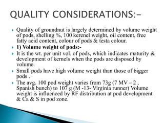  Quality of groundnut is largely determined by volume weight
of pods, shelling %, 100 kerenel weight, oil content, free
fatty acid content, colour of pods & testa colour.
 1) Volume weight of pods:-
 It is the wt. per unit vol. of pods, which indicates maturity &
development of kernels when the pods are disposed by
volume.
 Small pods have high volume weight than those of bigger
pods .
 The avg. 100 pod weight varies from 73g (7 MV – 2 ,
Spanish bunch) to 107 g (M -13- Virginia runner) Volume
weight is influenced by RF distribution at pod development
& Ca & S in pod zone.
 