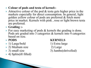  Colour of pods and testa of kernel:-
 Attractive colour of the pod & testa gets higher price in the
markets especially for direct consumption. In general, light
golden yellow colour of pods are preferred & fetch more
price in market. Kernels with pink , rose or light brown testa
are preferred.
 Grading :-
 For easy marketing of pods & kernels the grading is done.
Pods are graded into 3 categories & kernels into 4 categories
based on size.
 PODS KERNELS
 1) Large/bold 1) Extra large
 2) Medium size 2) Large
 3) small size 3) Jumbo(shrivelled)
 4) Splits(ill filled)
 