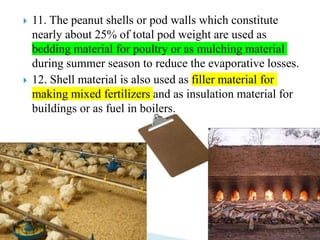  11. The peanut shells or pod walls which constitute
nearly about 25% of total pod weight are used as
bedding material for poultry or as mulching material
during summer season to reduce the evaporative losses.
 12. Shell material is also used as filler material for
making mixed fertilizers and as insulation material for
buildings or as fuel in boilers.
 