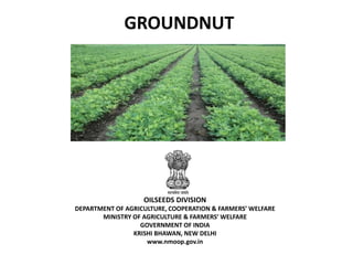 OILSEEDS DIVISION
DEPARTMENT OF AGRICULTURE, COOPERATION & FARMERS’ WELFARE
MINISTRY OF AGRICULTURE & FARMERS’ WELFARE
GOVERNMENT OF INDIA
KRISHI BHAWAN, NEW DELHI
www.nmoop.gov.in
GROUNDNUT
 