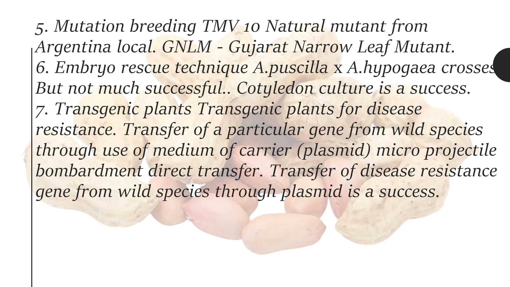 5. Mutation breeding TMV 10 Natural mutant from
Argentina local. GNLM - Gujarat Narrow Leaf Mutant.
6. Embryo rescue technique A.puscilla x A.hypogaea crosses.
But not much successful.. Cotyledon culture is a success.
7. Transgenic plants Transgenic plants for disease
resistance. Transfer of a particular gene from wild species
through use of medium of carrier (plasmid) micro projectile
bombardment direct transfer. Transfer of disease resistance
gene from wild species through plasmid is a success.
 
