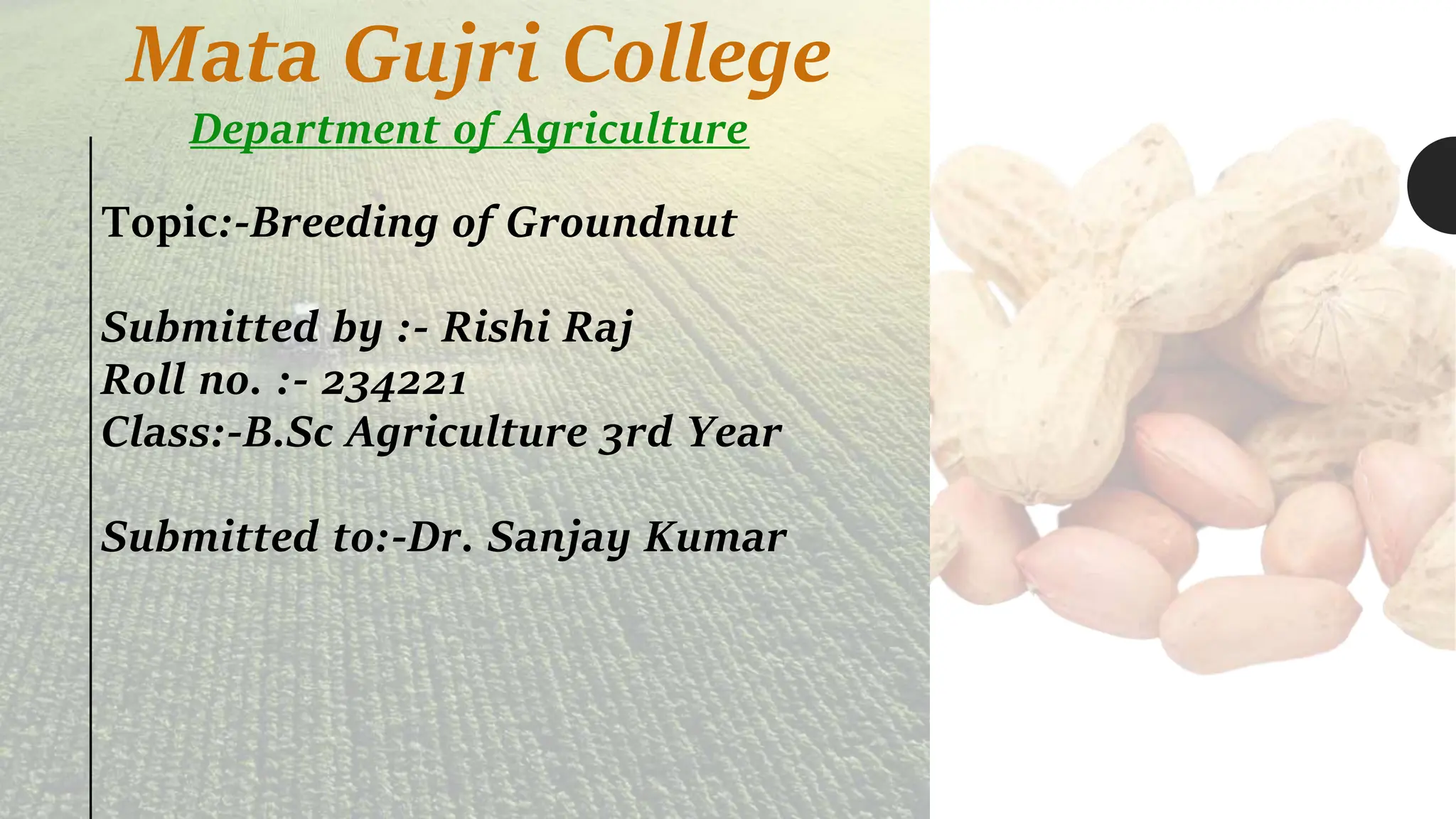 Mata Gujri College
Department of Agriculture
Topic:-Breeding of Groundnut
Submitted by :- Rishi Raj
Roll no. :- 234221
Class:-B.Sc Agriculture 3rd Year
Submitted to:-Dr. Sanjay Kumar
 