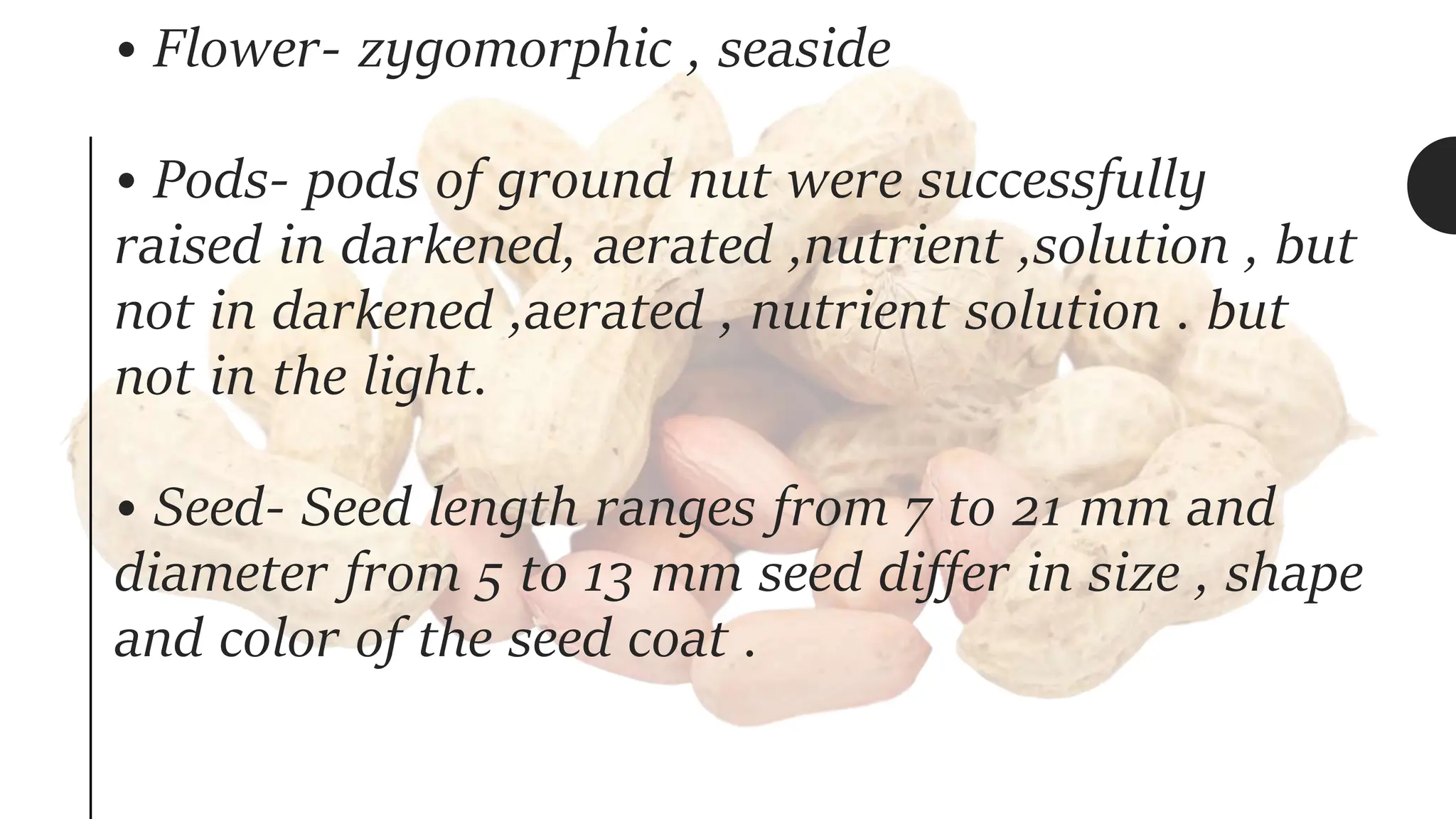 • Flower- zygomorphic , seaside
• Pods- pods of ground nut were successfully
raised in darkened, aerated ,nutrient ,solution , but
not in darkened ,aerated , nutrient solution . but
not in the light.
• Seed- Seed length ranges from 7 to 21 mm and
diameter from 5 to 13 mm seed differ in size , shape
and color of the seed coat .
 