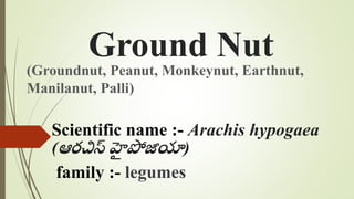Ground Nut
(Groundnut, Peanut, Monkeynut, Earthnut,
Manilanut, Palli)
Scientific name :- Arachis hypogaea
(ఆరచిస్ హ
ై పోజీయా)
family :- legumes
 