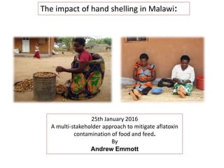The impact of hand shelling in Malawi:
25th January 2016
A multi-stakeholder approach to mitigate aflatoxin
contamination of food and feed.
By
Andrew Emmott
Twin & Twin Trading,
Senior Associate (Nuts),
London, UK.
 