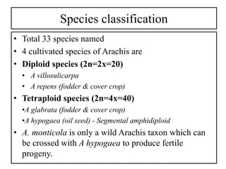 Species classification
• Total 33 species named
• 4 cultivated species of Arachis are
• Diploid species (2n=2x=20)
• A villosulicarpa
• A repens (fodder & cover crop)
• Tetraploid species (2n=4x=40)
•A glabrata (fodder & cover crop)
•A hypogaea (oil seed) - Segmental amphidiploid
• A. monticola is only a wild Arachis taxon which can
be crossed with A hypogaea to produce fertile
progeny.
 