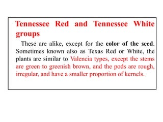 Tennessee Red and Tennessee White
groups
These are alike, except for the color of the seed.
Sometimes known also as Texas Red or White, the
plants are similar to Valencia types, except the stems
are green to greenish brown, and the pods are rough,
irregular, and have a smaller proportion of kernels.
 