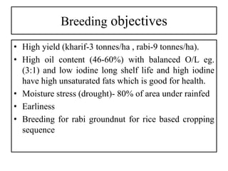 Breeding objectives
• High yield (kharif-3 tonnes/ha , rabi-9 tonnes/ha).
• High oil content (46-60%) with balanced O/L eg.
(3:1) and low iodine long shelf life and high iodine
have high unsaturated fats which is good for health.
• Moisture stress (drought)- 80% of area under rainfed
• Earliness
• Breeding for rabi groundnut for rice based cropping
sequence
 