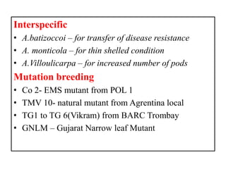 Interspecific
• A.batizoccoi – for transfer of disease resistance
• A. monticola – for thin shelled condition
• A.Villoulicarpa – for increased number of pods
Mutation breeding
• Co 2- EMS mutant from POL 1
• TMV 10- natural mutant from Agrentina local
• TG1 to TG 6(Vikram) from BARC Trombay
• GNLM – Gujarat Narrow leaf Mutant
 