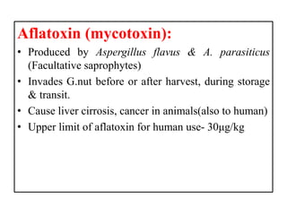 Aflatoxin (mycotoxin):
• Produced by Aspergillus flavus & A. parasiticus
(Facultative saprophytes)
• Invades G.nut before or after harvest, during storage
& transit.
• Cause liver cirrosis, cancer in animals(also to human)
• Upper limit of aflatoxin for human use- 30μg/kg
 