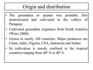 Origin and distribution
• The groundnut or peanut was probably first
domesticated and cultivated in the valleys of
Paraguay.
• Cultivated groundnut originates from South America
(Wiess 2000).
• Grown in nearly 100 countries. Major producers are
China, India, Nigeria, USA, Indonesia and Sudan.
• Its cultivation is mostly confined to the tropical
countries ranging from 40º N to 40º S.
 