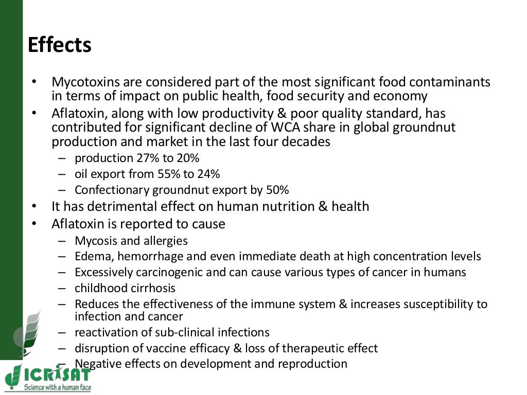 Management of aflatoxin contamination in groundnut ICRISAT Approach