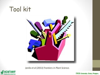 Groundnut improvement: Use of genetic and genomic tools