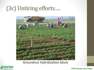 Groundnut improvement: Use of genetic and genomic tools