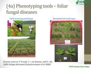 Groundnut improvement: Use of genetic and genomic tools