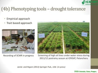 Groundnut improvement: Use of genetic and genomic tools