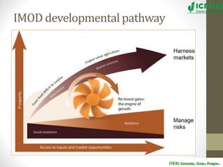 Groundnut improvement: Use of genetic and genomic tools