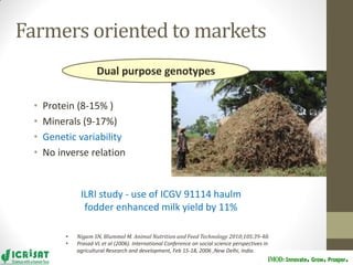 Groundnut improvement: Use of genetic and genomic tools
