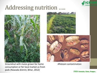Groundnut improvement: Use of genetic and genomic tools